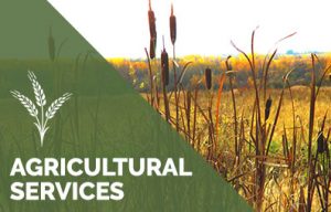 Agricultural Services Overview – Municipal District of Greenview