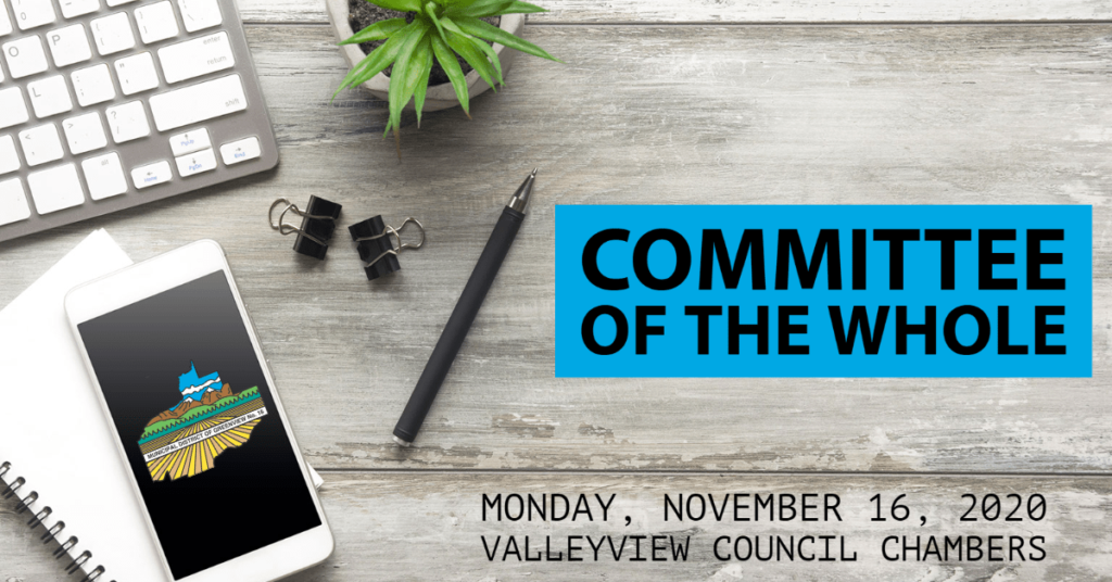 Committee of the Whole - November 16, 2020