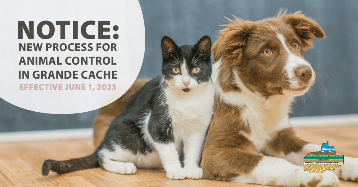 Notice New Process for Animal Control in Grande Cache effective June 1 