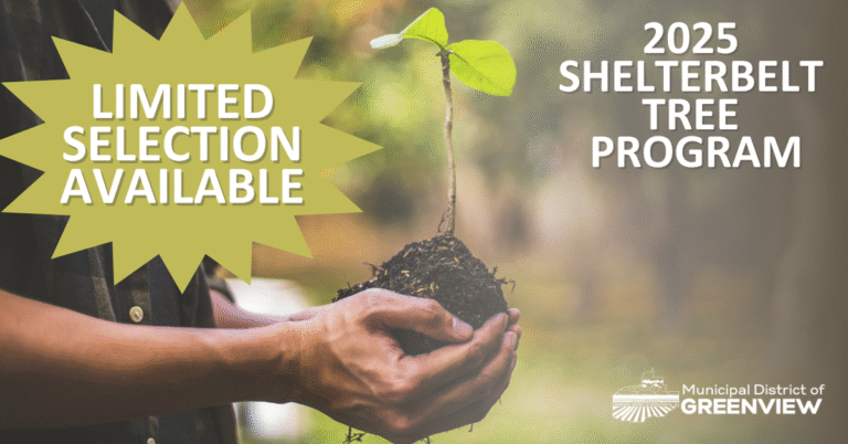 shelterbelt (2025) fb (1)