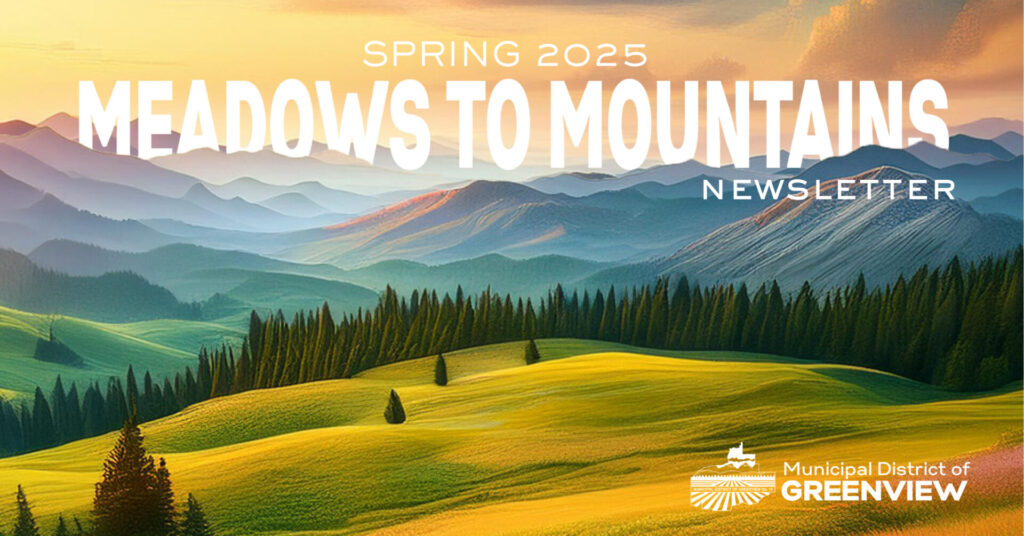 meadows to mountains spring 2025 fb