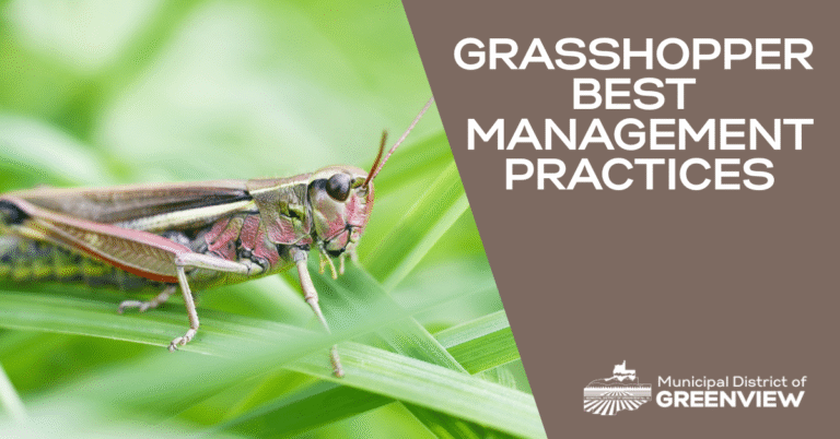 Grasshopper best management practices (1)
