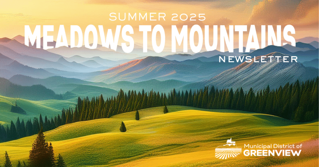 Meadows to mountains summer 2025 fb