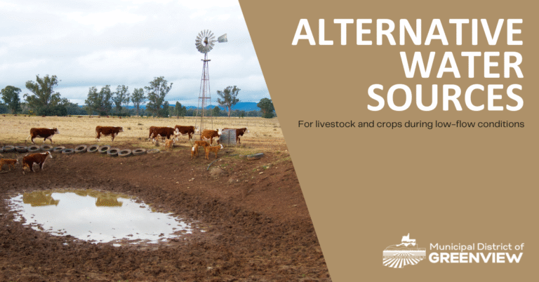 Water sources for livestock and crops during low flow conditions (1)