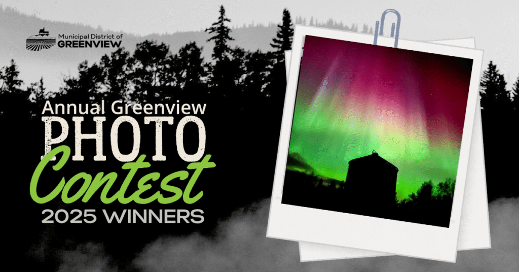 Photo contest 2025 (1)