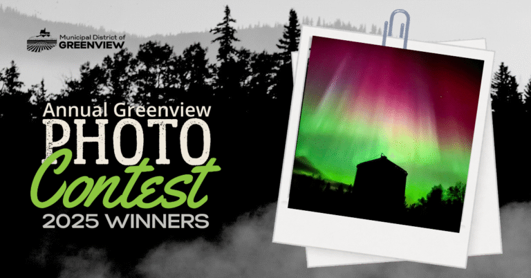 Photo contest 2025 (1)