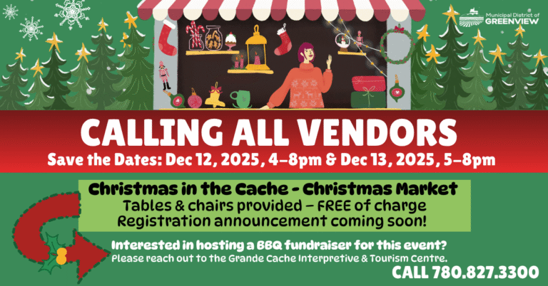 Christmas in the cache