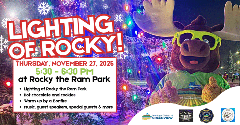 Lighting of rocky 2025 (1)