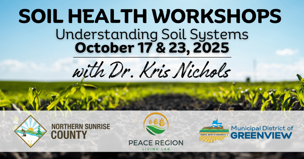 Soil health workshop (2)