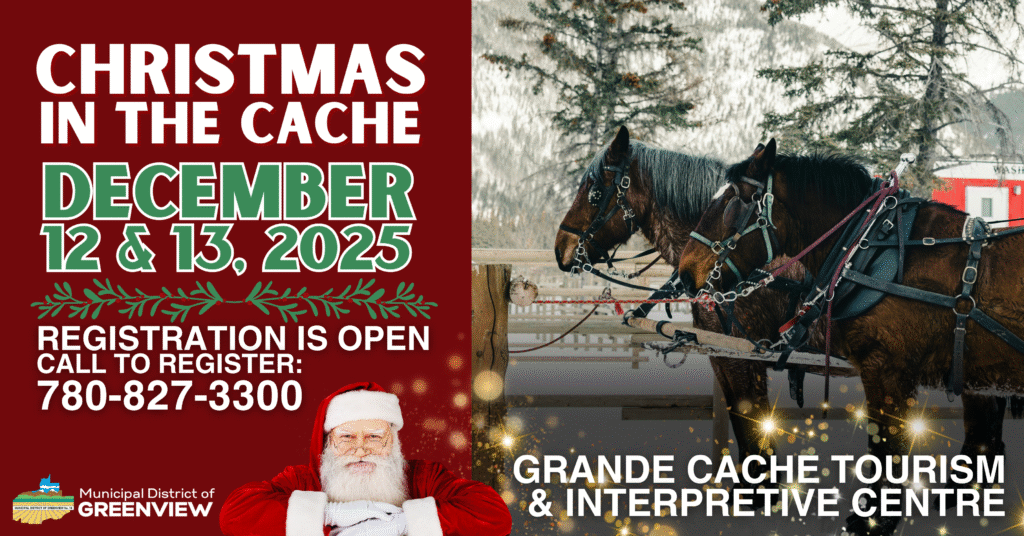 Santa's Workshop 2025 (3)