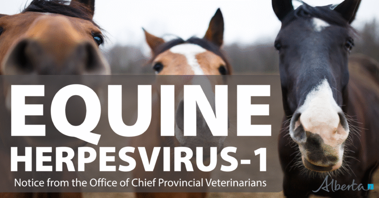 Your paragraph text (1)