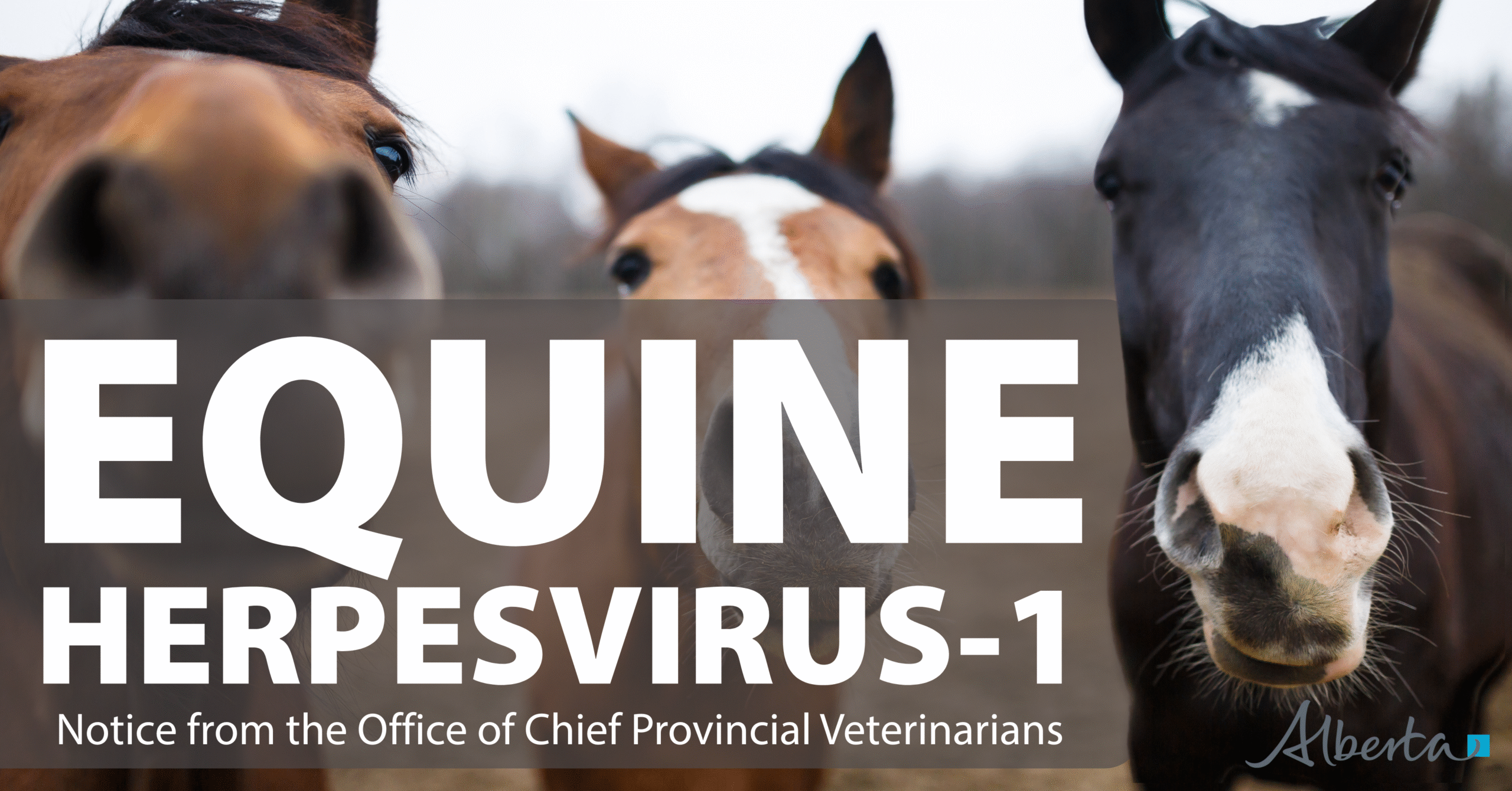 Your paragraph text (1)