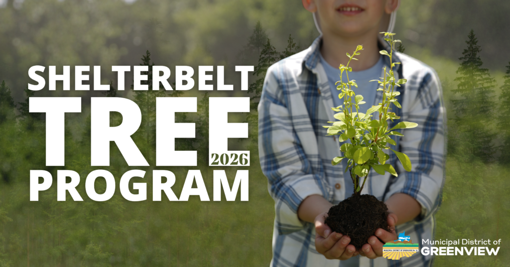 Copy of Shelterbelt (2025) FB