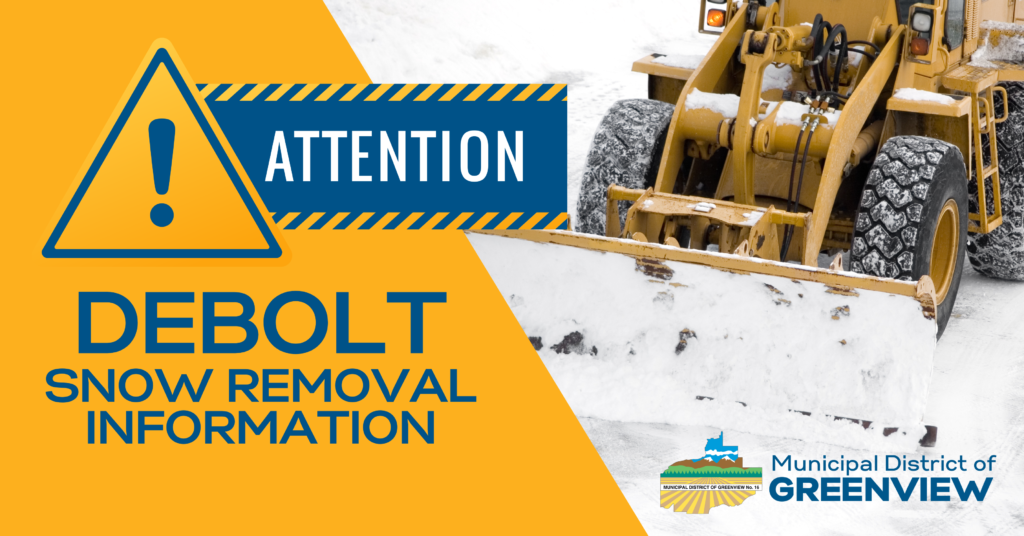 DeBolt SNOW REMOVAL