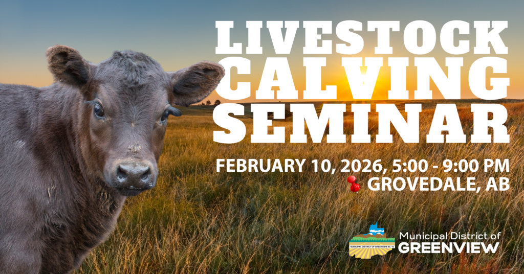 CALVING WORKSHOP (1)