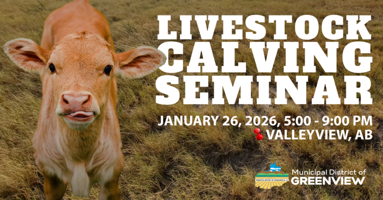 CALVING WORKSHOP