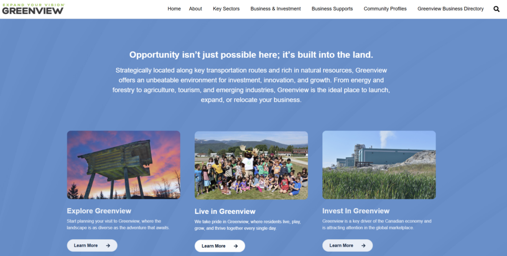 Expand Your Vision Website Opportunity Image