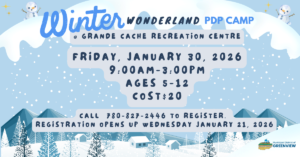 WINTER PDP CAMP (Facebook Ad)
