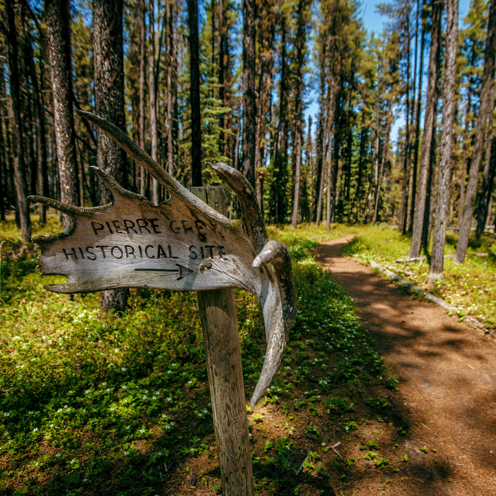 Trails website graphic