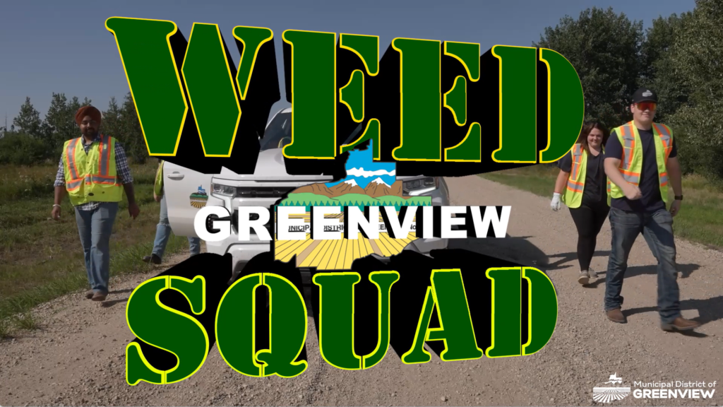 Thumbnail Weed Sqaud