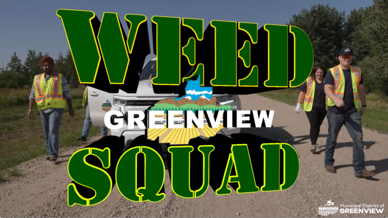 Thumbnail Weed Sqaud