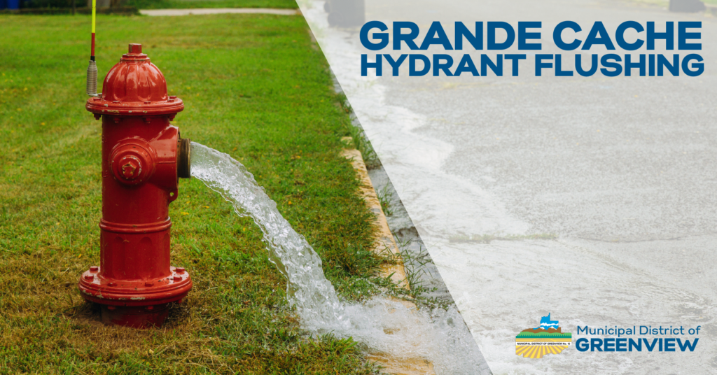 HYDRANT FLUSHING