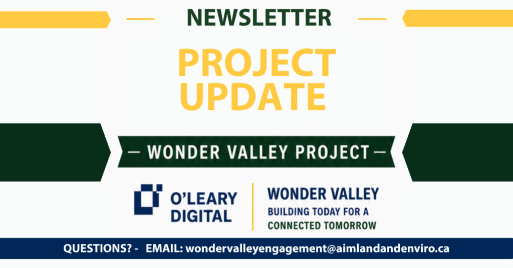 Wonder Valley Newsletter