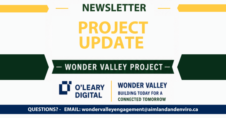 Wonder Valley Newsletter