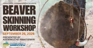Beaver Skinning Workshop