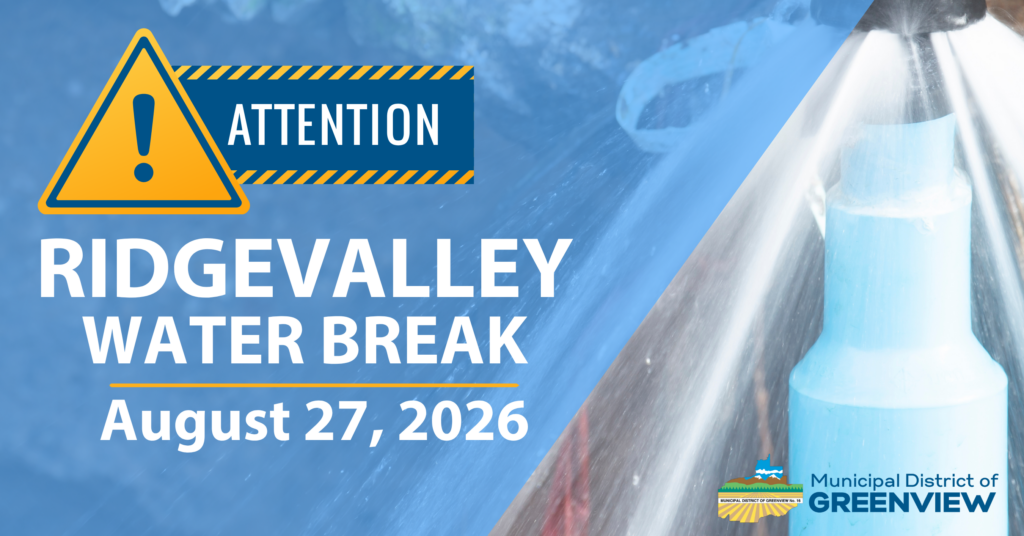 RIDGEVALLEY SNOW REMOVAL