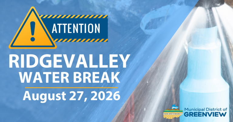 RIDGEVALLEY SNOW REMOVAL