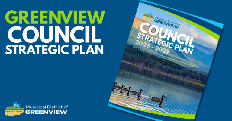 Strategic Plan 2026 2029 (4)